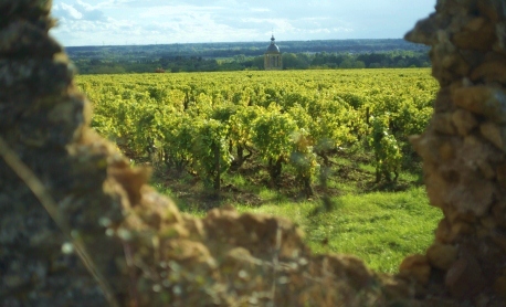 Clos du Bourg 007